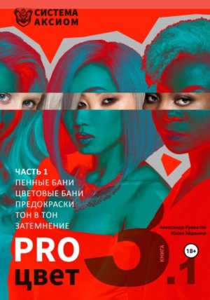 PRO .  3.  1 ( ,  ,    ,  )